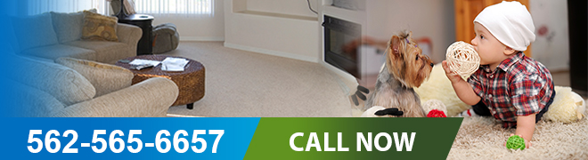 About Carpet Cleaning Services